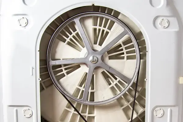 தி வாஷிங் மெஷின் பல்லி: தி ஹார்ட் ஆஃப் தி ஸ்பின் சைக்கிள்